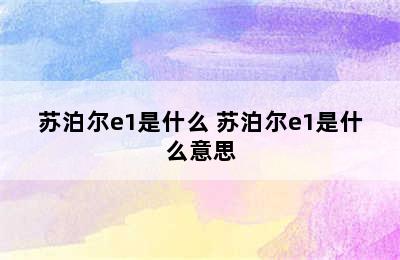 苏泊尔e1是什么 苏泊尔e1是什么意思